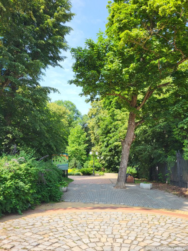 Полёт альбатроса, в смысле, чайки (фото 4)