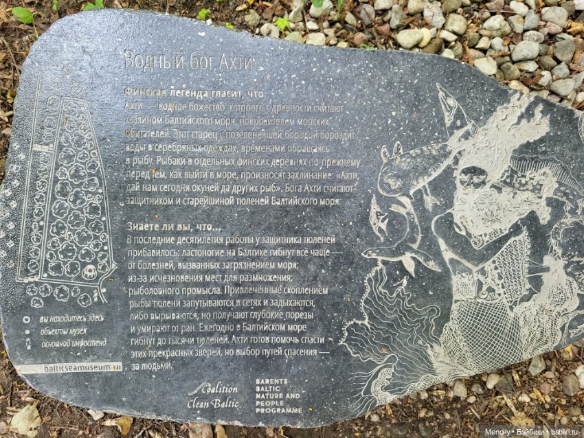 Полёт альбатроса, в смысле, чайки