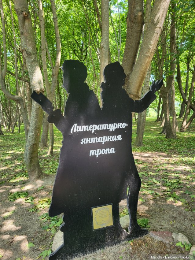 Полёт альбатроса, в смысле, чайки (фото 10)