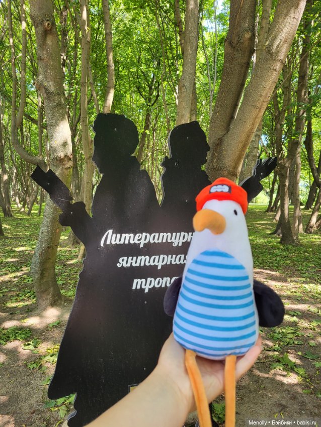 Полёт альбатроса, в смысле, чайки