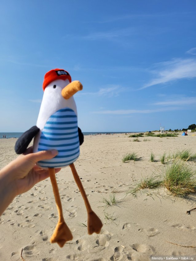 Полёт альбатроса, в смысле, чайки