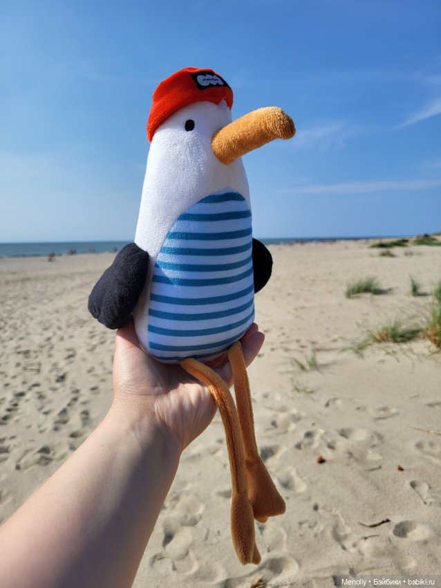 Полёт альбатроса, в смысле, чайки