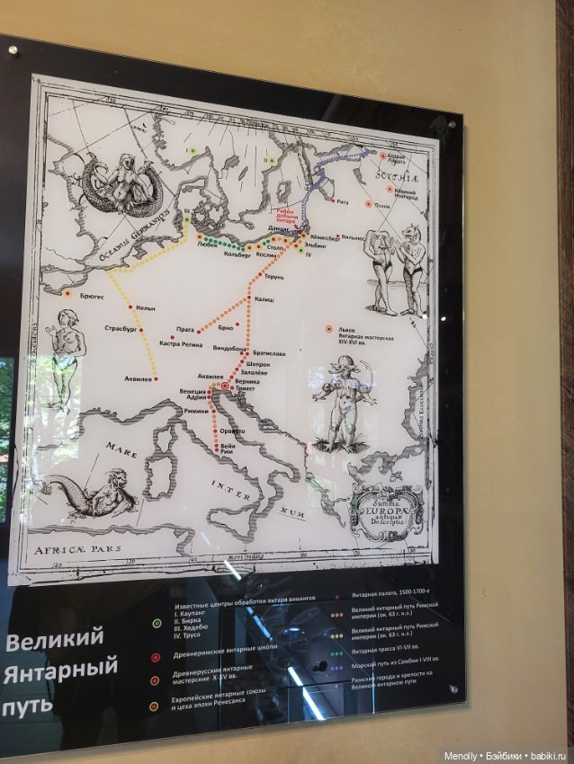 Полёт альбатроса, в смысле, чайки