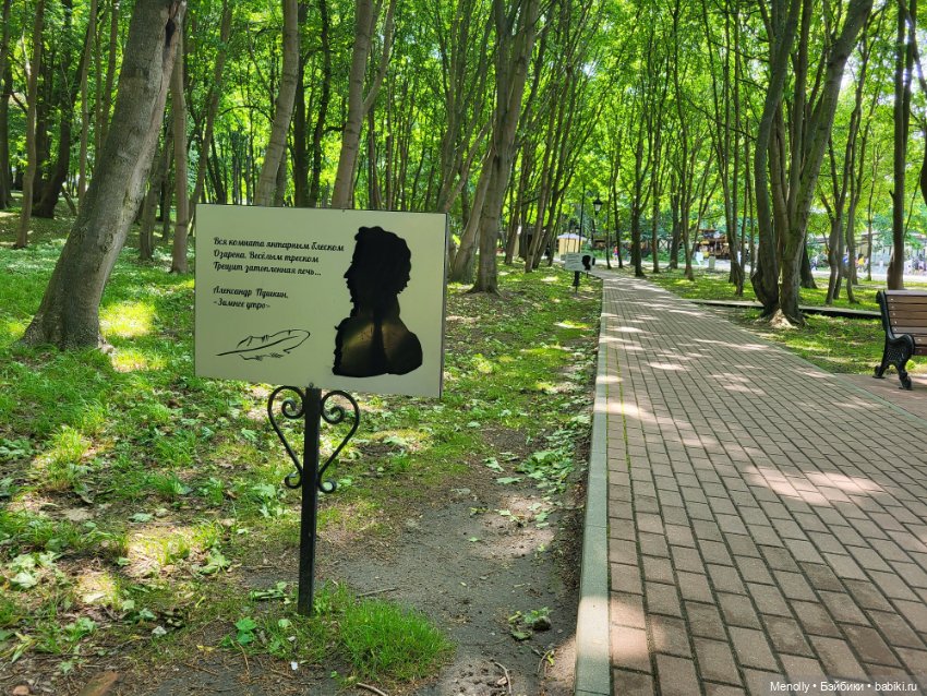 Полёт альбатроса, в смысле, чайки (фото 8)