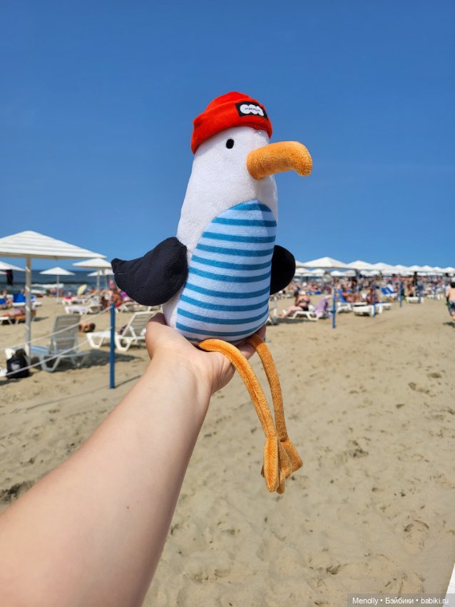 Полёт альбатроса, в смысле, чайки