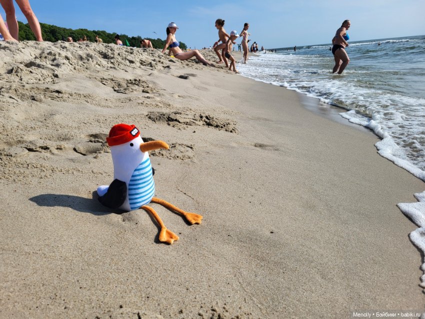 Полёт альбатроса, в смысле, чайки