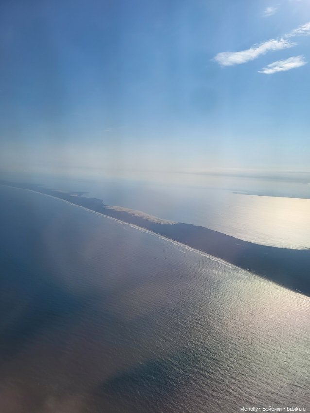 Полёт альбатроса, в смысле, чайки (фото 3)