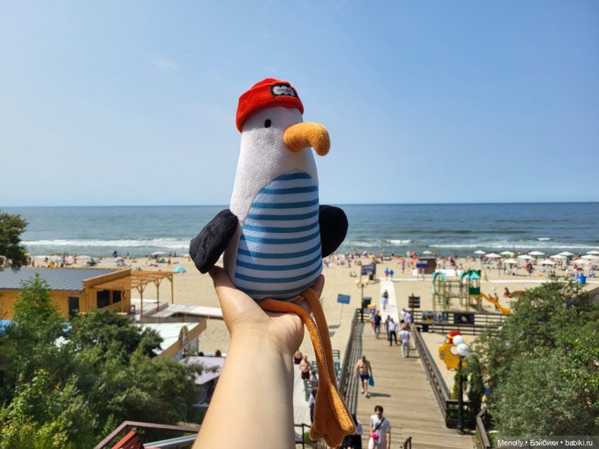 Полёт альбатроса, в смысле, чайки