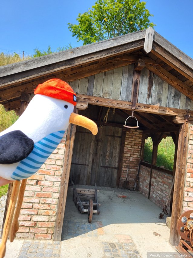 Полёт альбатроса, в смысле, чайки