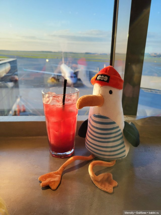 Полёт альбатроса, в смысле, чайки (фото 2)