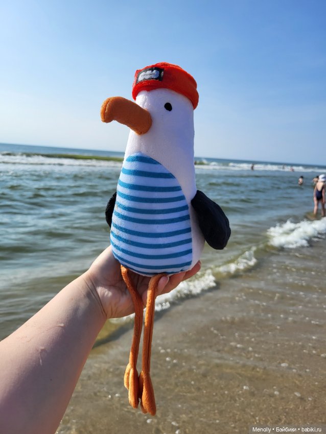 Полёт альбатроса, в смысле, чайки