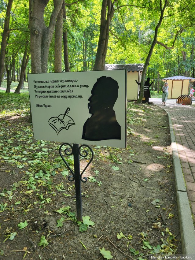 Полёт альбатроса, в смысле, чайки (фото 9)