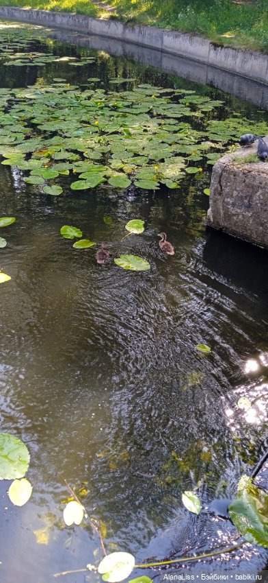 Плюшки. Просто плюшки — Мягкие игровые и текстильные куклы: тряпичные (фото 6)