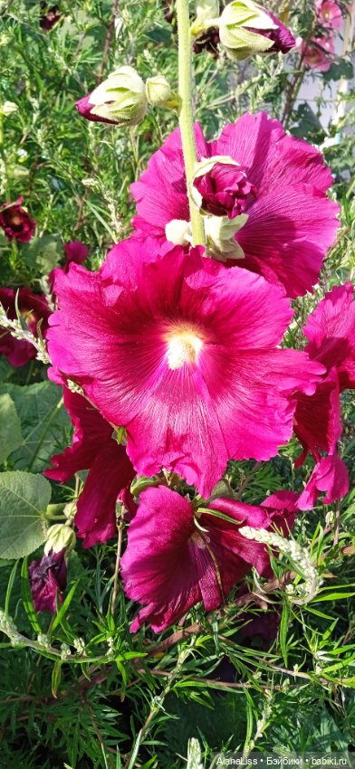 Плюшки. Просто плюшки — Мягкие игровые и текстильные куклы: тряпичные