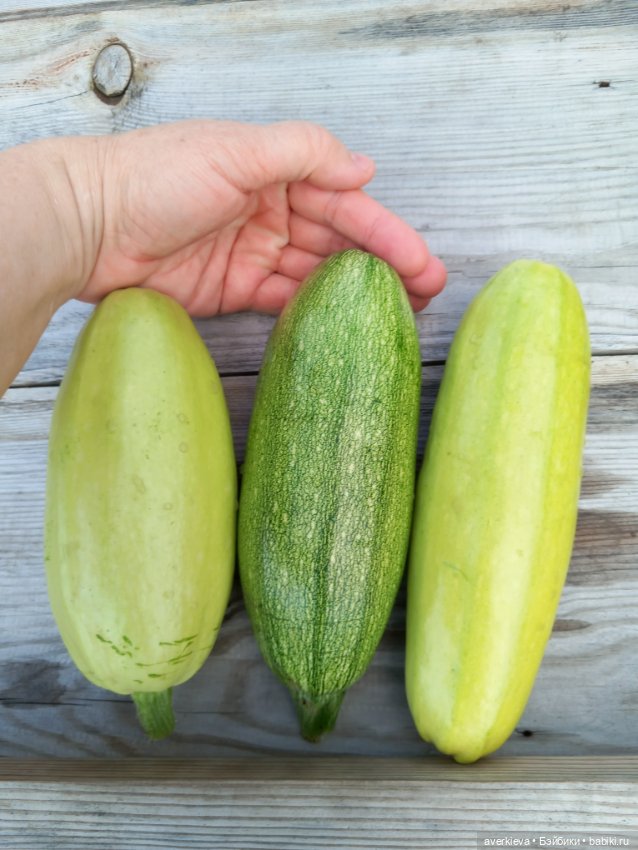 Народился урожай — Интересные игрушки и фигурки (разное): редкие (фото 4)