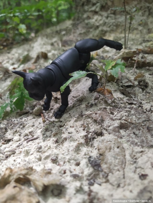 Милаш. Дорога к Лесному озеру