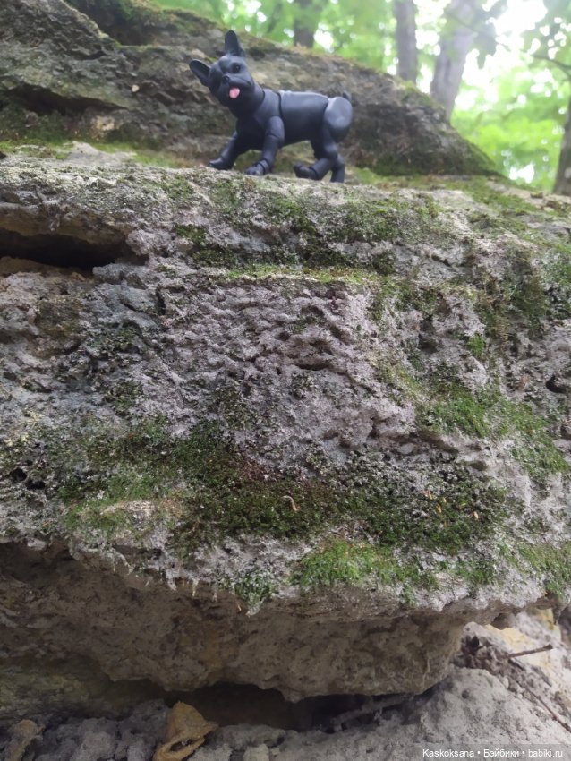 Милаш. Дорога к Лесному озеру (фото 3)