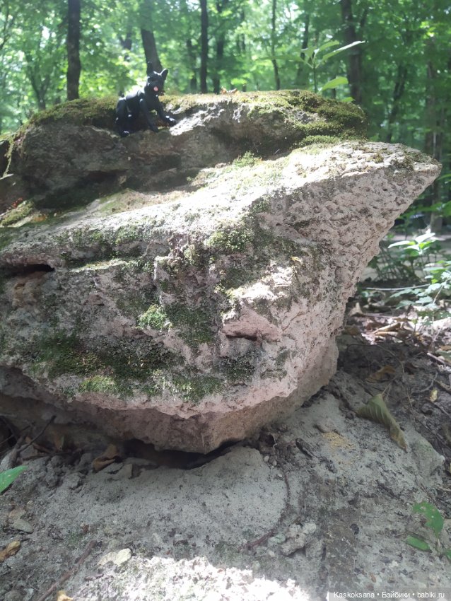 Милаш. Дорога к Лесному озеру (фото 7)