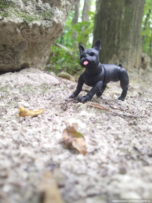 Милаш. Дорога к Лесному озеру