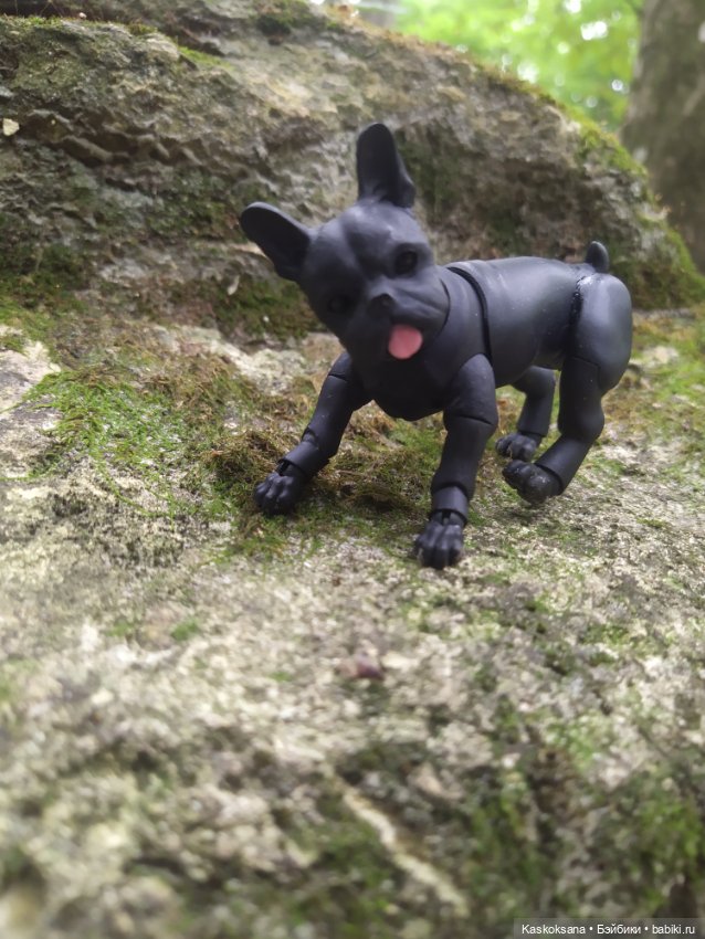 Милаш. Дорога к Лесному озеру (фото 5)