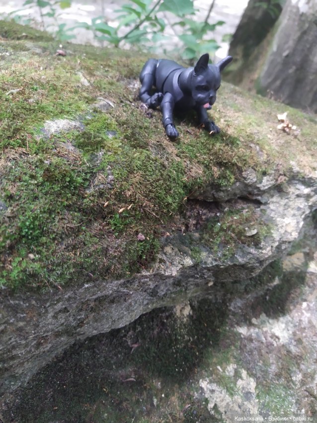 Милаш. Дорога к Лесному озеру