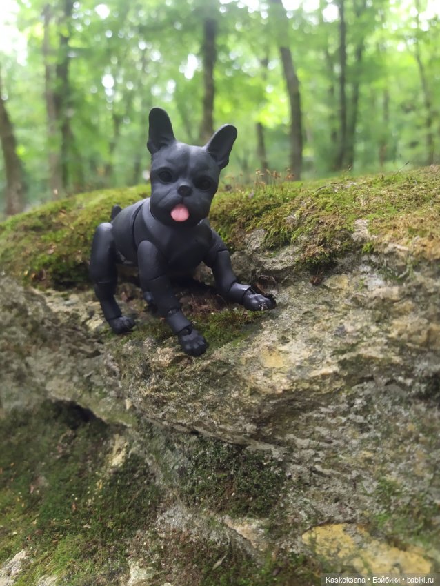 Милаш. Дорога к Лесному озеру (фото 10)