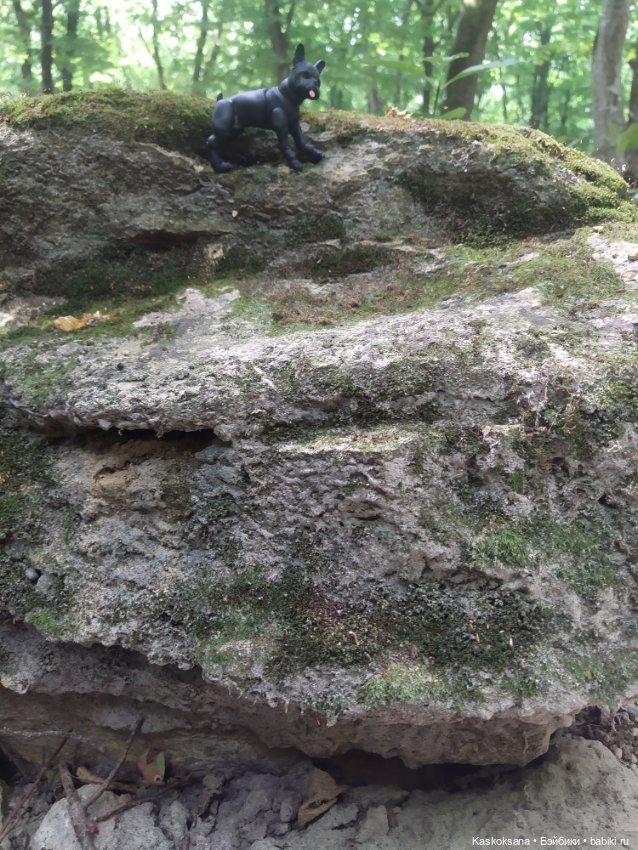 Милаш. Дорога к Лесному озеру (фото 6)