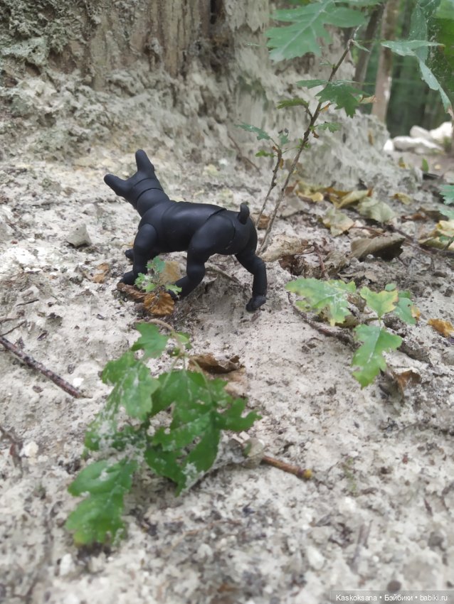 Милаш. Дорога к Лесному озеру