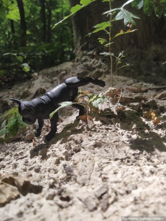 Милаш. Дорога к Лесному озеру