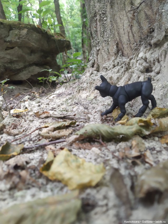 Милаш. Дорога к Лесному озеру