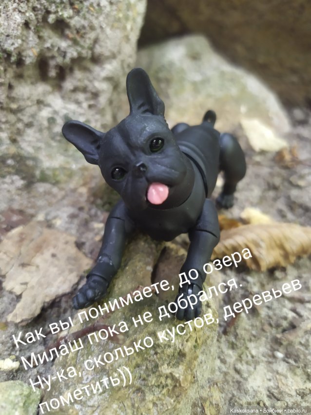 Милаш. Дорога к Лесному озеру