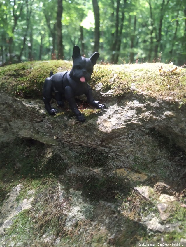 Милаш. Дорога к Лесному озеру (фото 8)