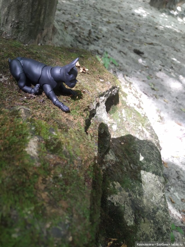 Милаш. Дорога к Лесному озеру