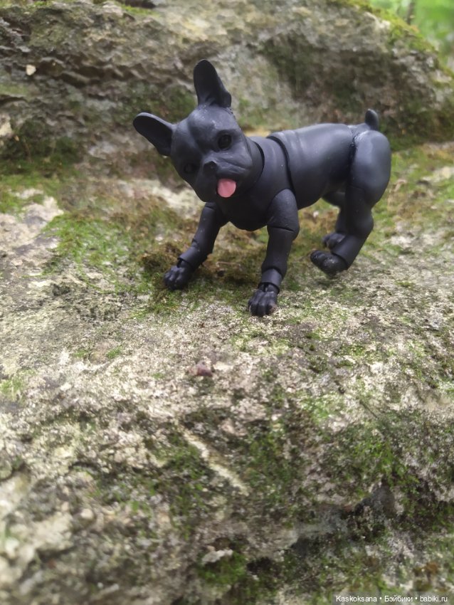 Милаш. Дорога к Лесному озеру (фото 2)