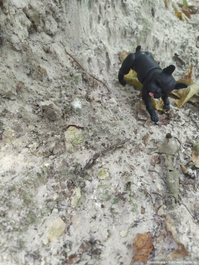 Милаш. Дорога к Лесному озеру