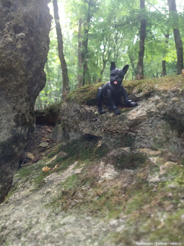 Милаш. Дорога к Лесному озеру (фото 9)