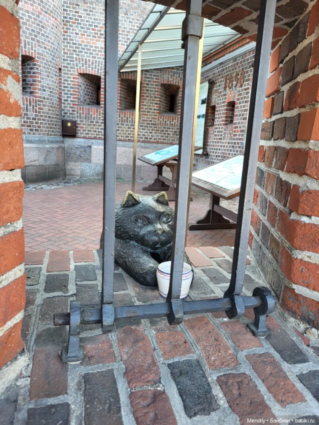 Гляди на этот океан, и всё ж не забывай, что он великий (фото 5)