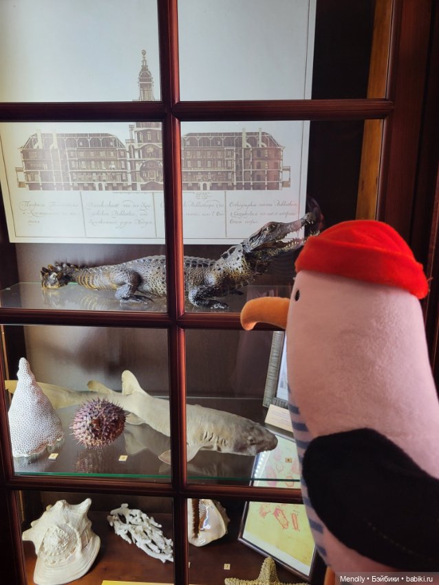 Гляди на этот океан, и всё ж не забывай, что он великий (фото 10)