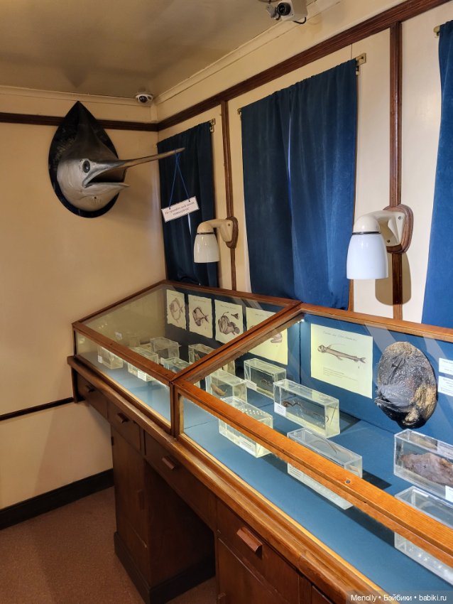 Гляди на этот океан, и всё ж не забывай, что он великий