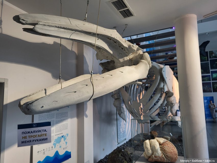 Гляди на этот океан, и всё ж не забывай, что он великий