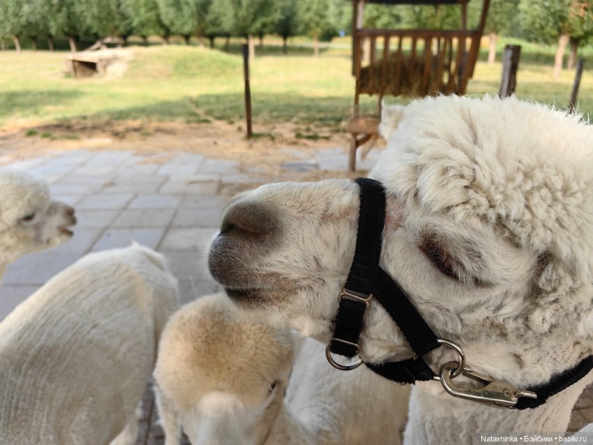 Музыкальная история 17 — Туризм и путешествия: фотоотчеты из поездок (фото 7)