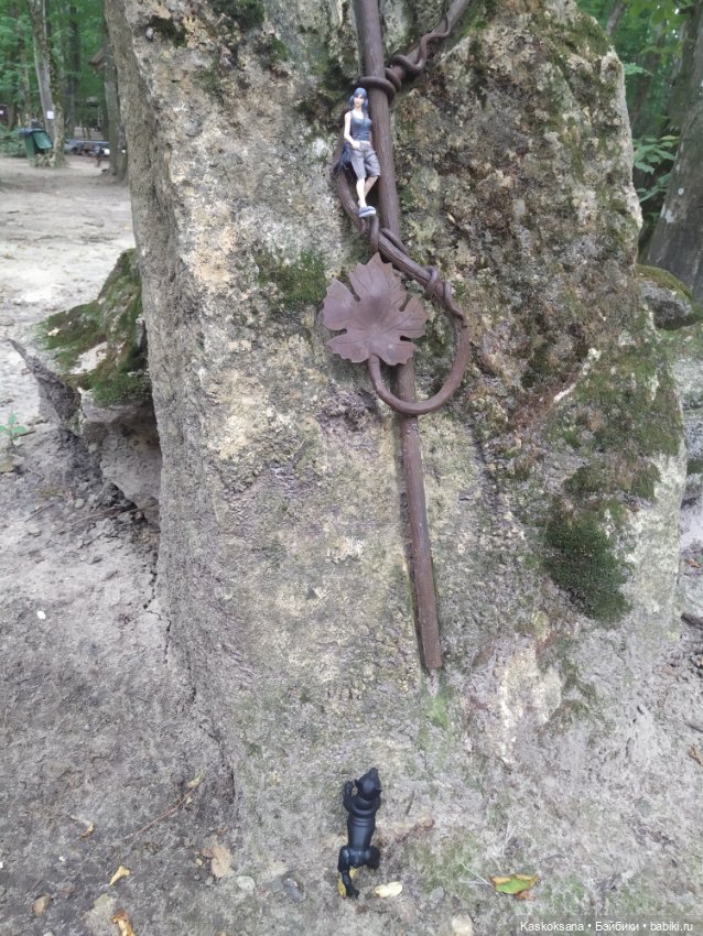 Татка. Дорога к Лесному озеру (фото 10)