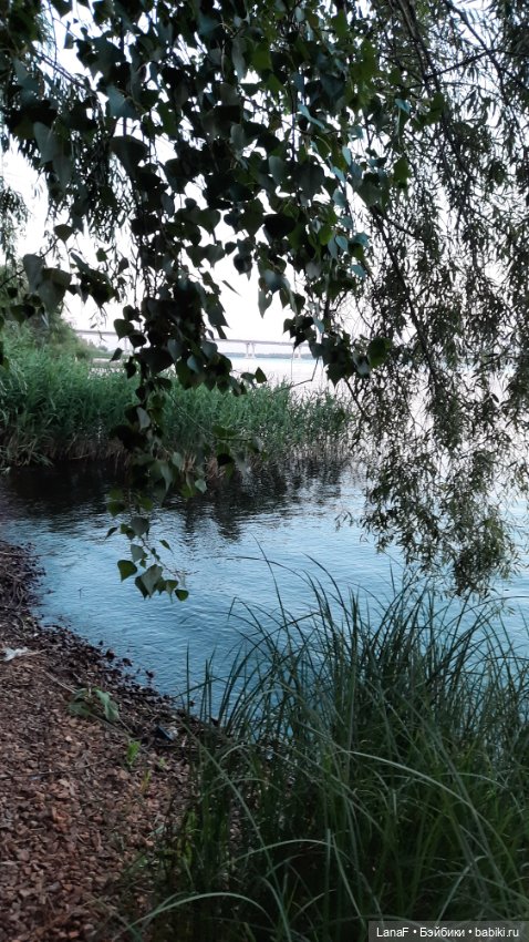 Волжские просторы. (Гид Эля, пепита от Antonio Huan)