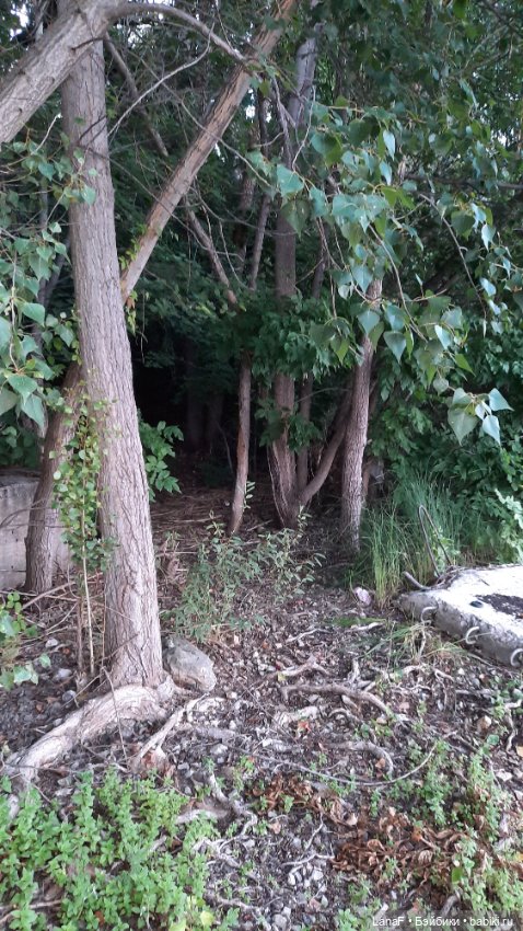 Волжские просторы. (Гид Эля, пепита от Antonio Huan)