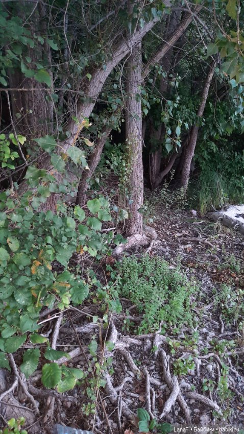 Волжские просторы. (Гид Эля, пепита от Antonio Huan)