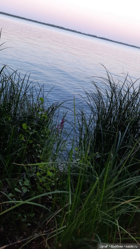 Волжские просторы. (Гид Эля, пепита от Antonio Huan) (фото 10)