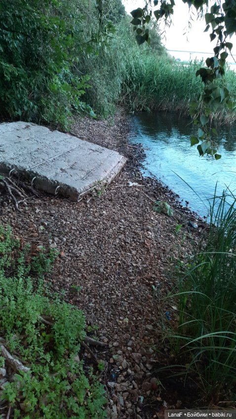 Волжские просторы. (Гид Эля, пепита от Antonio Huan)