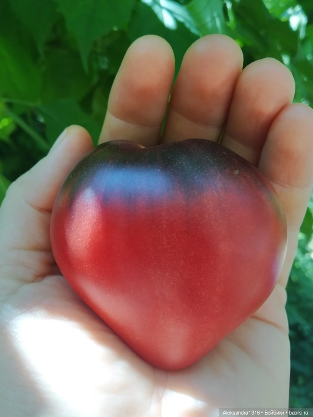 Дарю вам свое Сердце❤️ — Гибриды шарнирных кукол (не БЖД): подбор тела (фото 9)