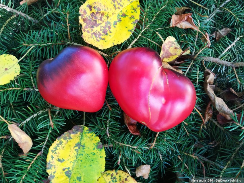 Дарю вам свое Сердце❤️ — Гибриды шарнирных кукол (не БЖД): подбор тела