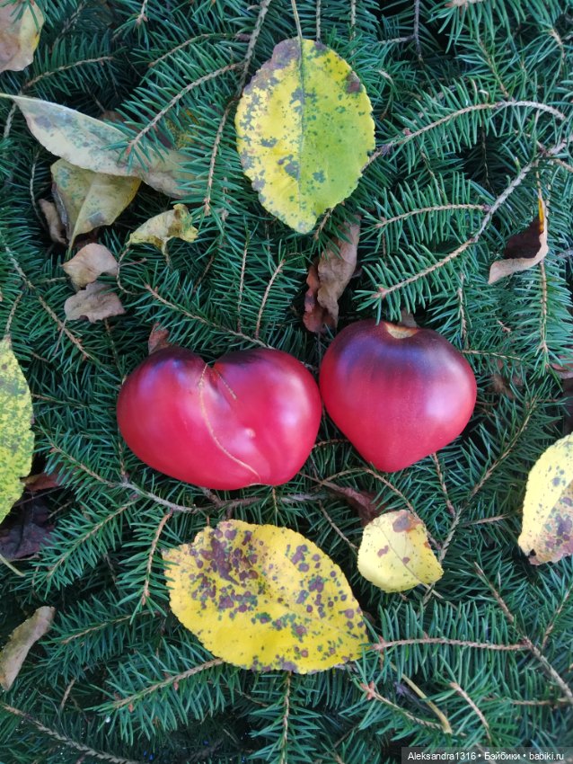 Дарю вам свое Сердце❤️ — Гибриды шарнирных кукол (не БЖД): подбор тела